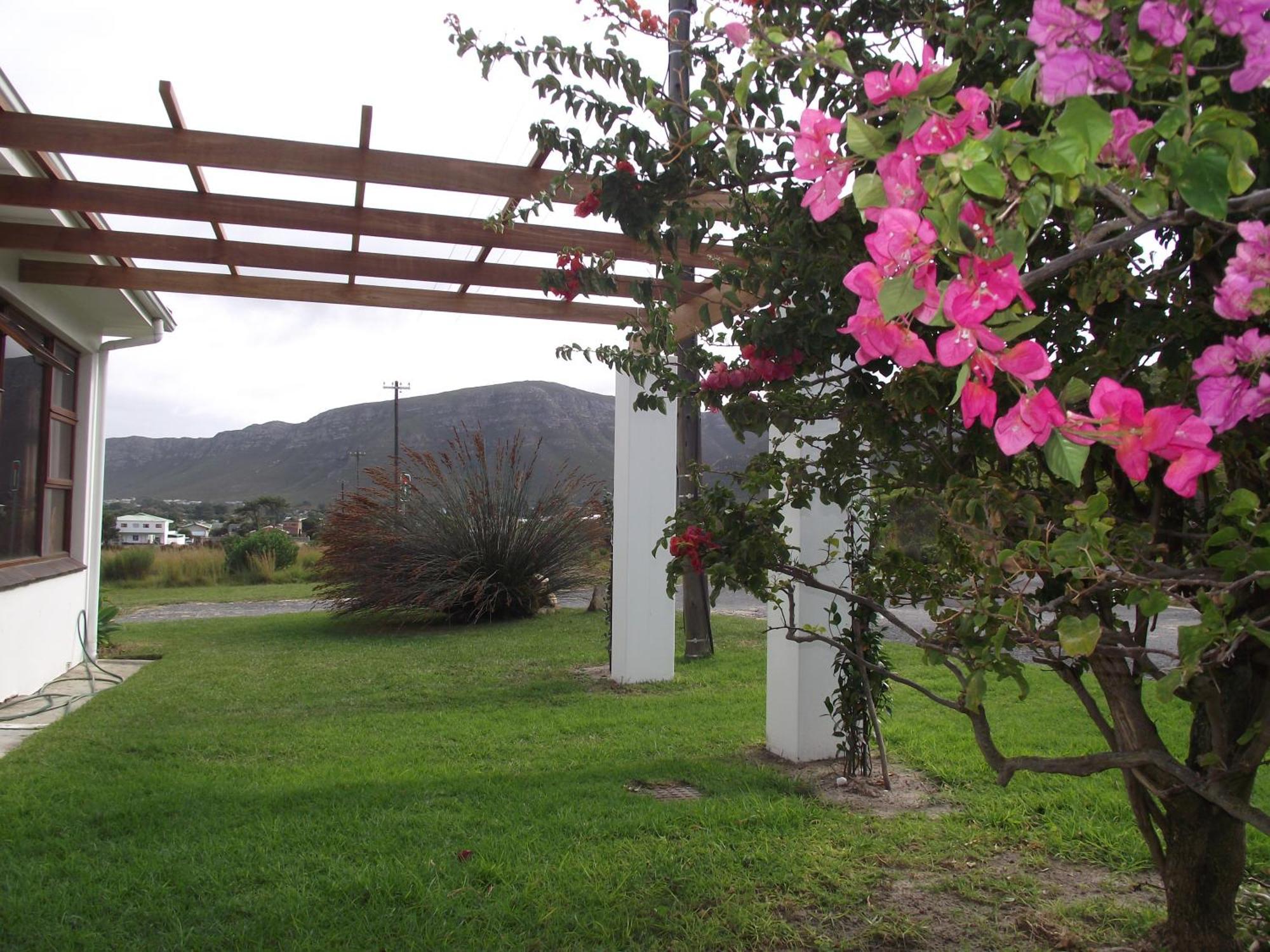 Apartamento Hermanus At Rikis Self Catering Exterior foto